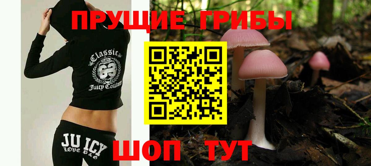 Псилоцибиновые грибы GOLDEN TEACHER Дзержинск