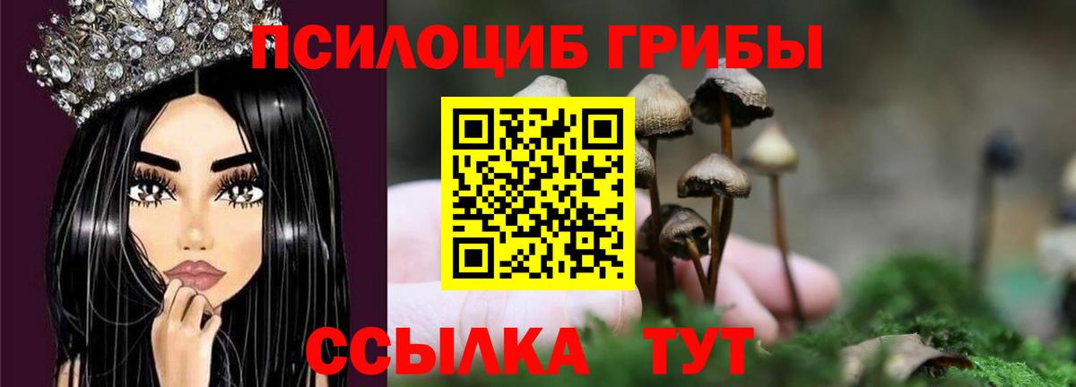 Галлюциногенные грибы Cubensis  Псилоцибиновые грибы MAGIC MUSHROOMS  Дзержинск  Вход с VPN 